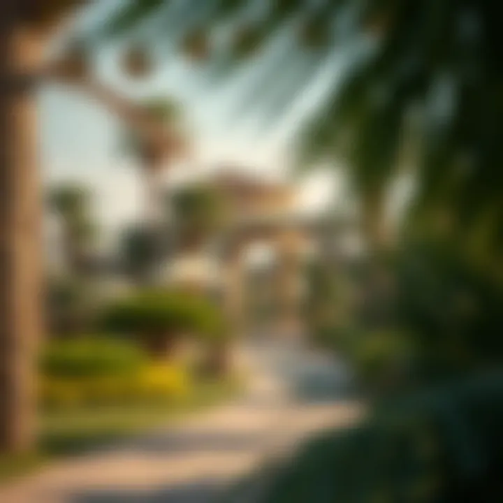 Magnificent Exploring the Botanical Oasis of Al Bateen