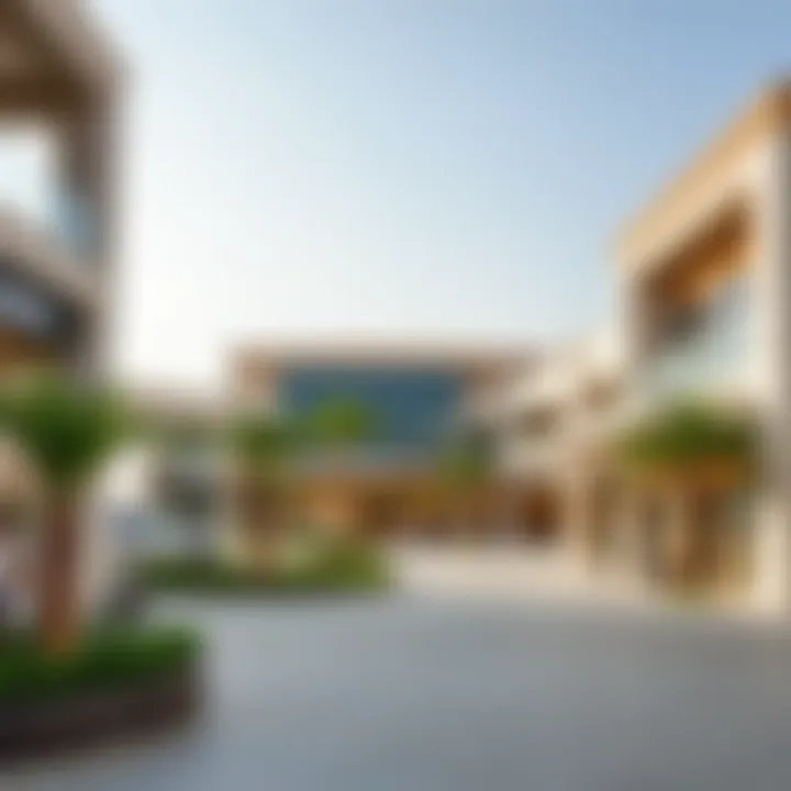 Magnificent Exploring the Damac Hills 2 Community Center: Shops and Services