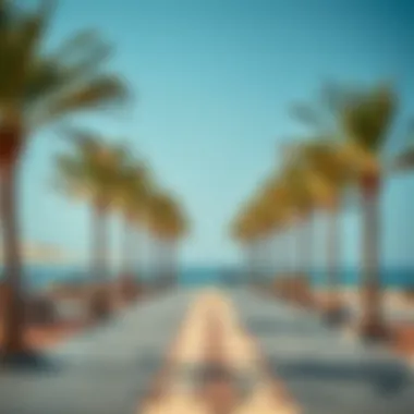 Magnificent La Mer Beach: Current Status and Implications for Investors