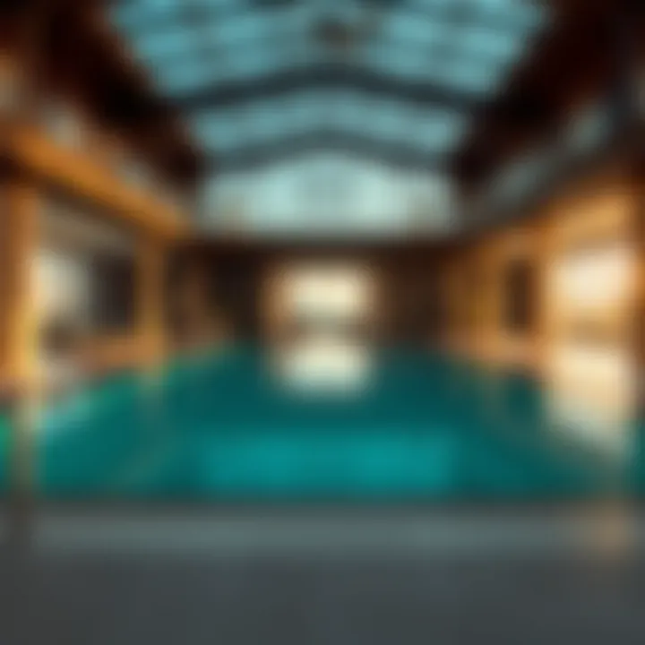 Magnificent Understanding Swimming Pools: A Comprehensive Guide