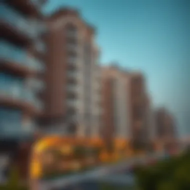 Essential Tips for Prospective Renters Tips for Renters in Al Warqa