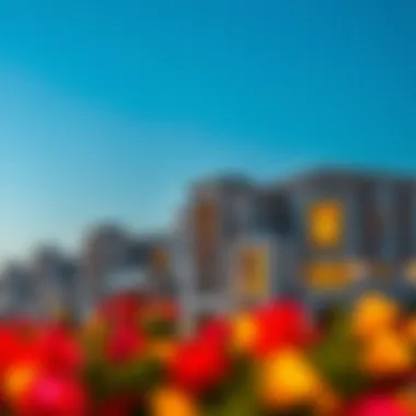 Luxury real estate in Dubai