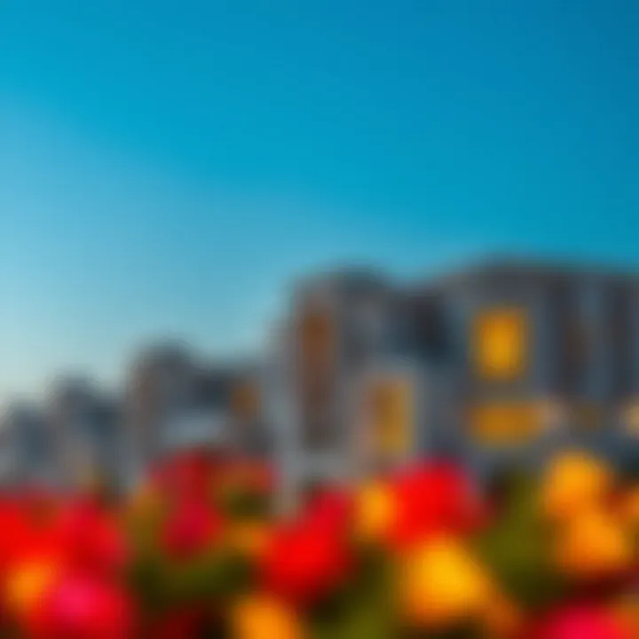 Luxury real estate in Dubai