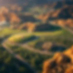 Aerial view of the lush landscape in Damac Hills