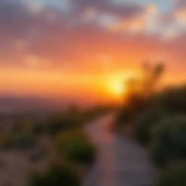 Scenic Nature Trails of Damac Hills Scenic nature trails within Damac Hills for outdoor activities