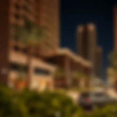 Amenities and recreational areas around Deira flats