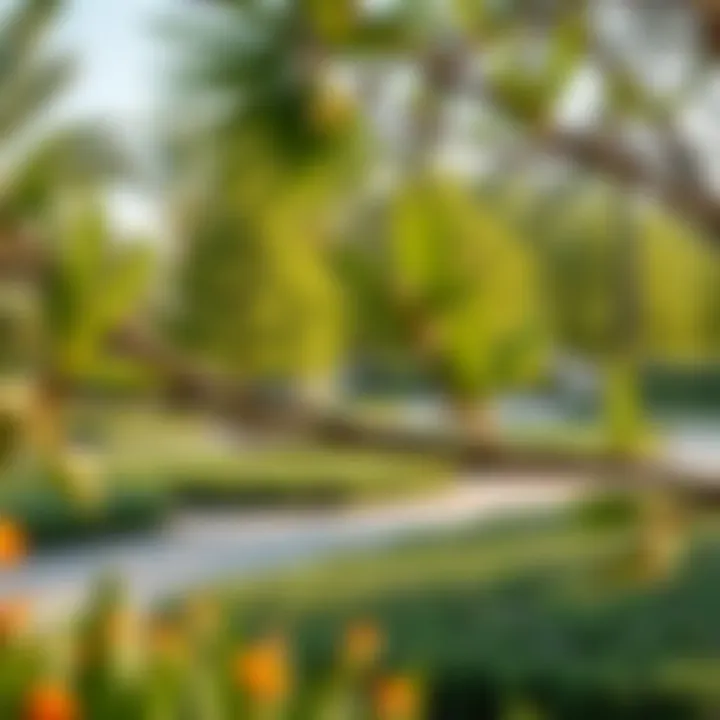 Community Parks and Green Spaces Lush community parks in Emaar Greens highlighting green spaces and recreational areas