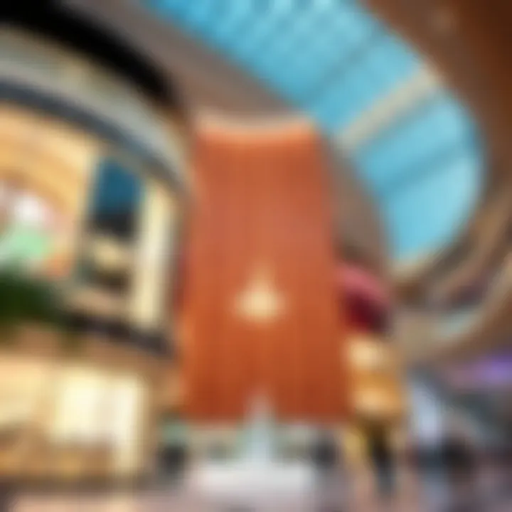 Luxurious shopping experience at The Dubai Mall