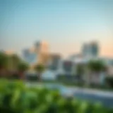 A panoramic view of Al Ghafia showcasing its modern architecture amidst lush greenery