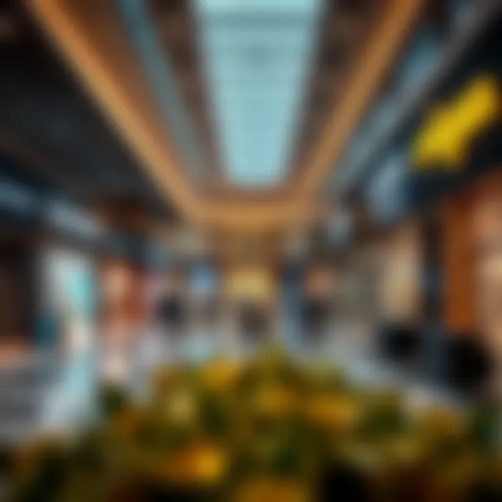 Notable Exploring Dubai Outlet Mall Brands: A Comprehensive Overview