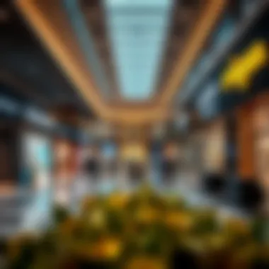 Notable Exploring Dubai Outlet Mall Brands: A Comprehensive Overview Notable Exploring Dubai Outlet Mall Brands: A Comprehensive Overview