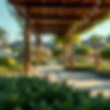 Tranquil Park Retreat in Dubai A serene park in Dubai showcasing lush greenery and a relaxing environment