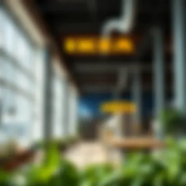 Sustainable product offerings at IKEA highlighting eco-friendly materials