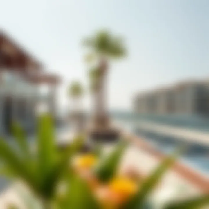 Dynamic Lifestyle Offerings of Jumeirah Beach Residence Vibrant lifestyle scene in Jumeirah Beach Residence
