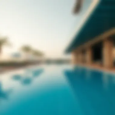 State-of-the-Art Amenities and Facilities Modern amenities and leisure facilities in Marbella Damac Lagoons