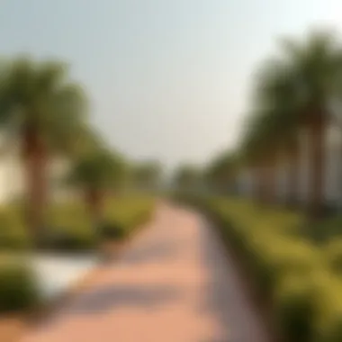 Exploring Palm Jumeirah Park: An Oasis of Nature Amidst Urban Luxury Summary Exploring Palm Jumeirah Park: An Oasis of Nature Amidst Urban Luxury Summary