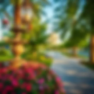 Green Spaces in Oud Metha for Relaxation Community parks in Oud Metha