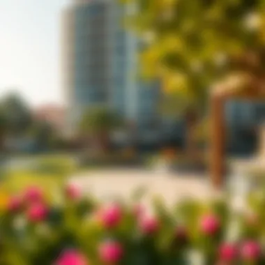 Community Amenities in Hor Al Anz Community amenities like parks and recreational areas in Hor Al Anz