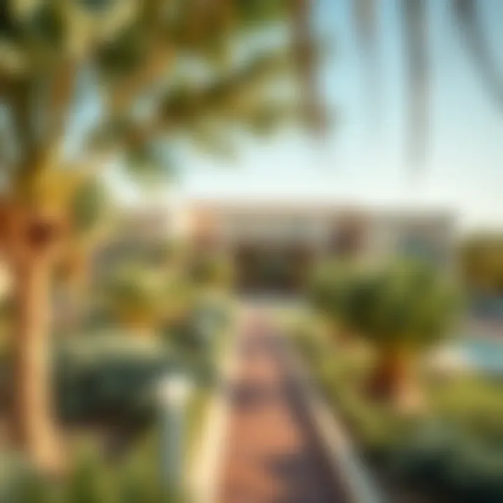 Al Ain Oasis: A Natural Retreat in the Desert Lush greenery of Al Ain Oasis