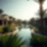 Exploring the Botanical Oasis of Al Bateen Introduction