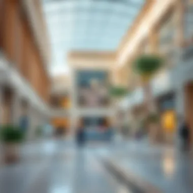 Exploring the Damac Hills 2 Community Center: Shops and Services Summary