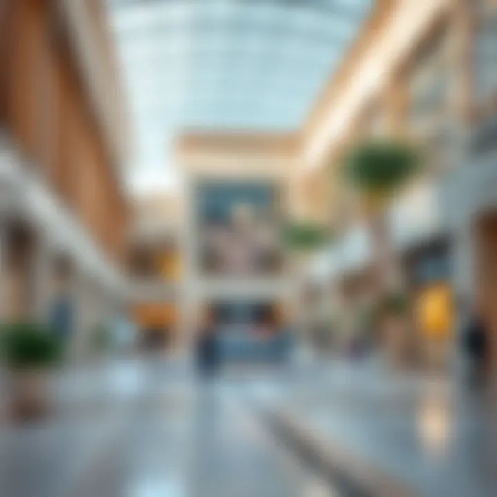 Exploring the Damac Hills 2 Community Center: Shops and Services Summary
