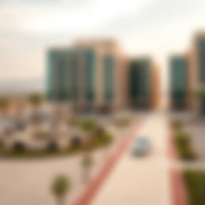 Notable Exploring the Geographic Landscape of Nad Al Sheba 1 Notable Exploring the Geographic Landscape of Nad Al Sheba 1