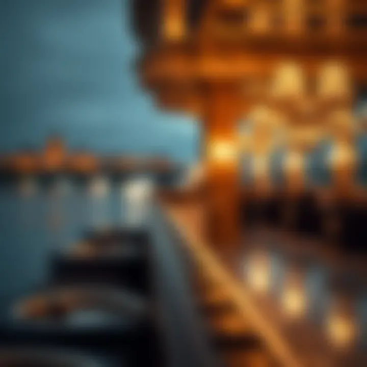 Exploring the Glitz Along the Danube Summary
