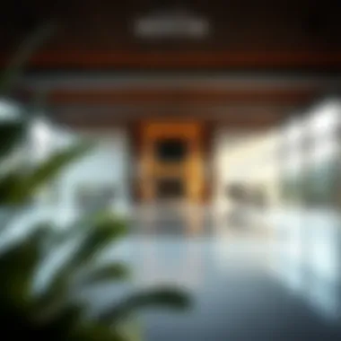 Notable Exploring the Mudon Master Plan: A Comprehensive Overview