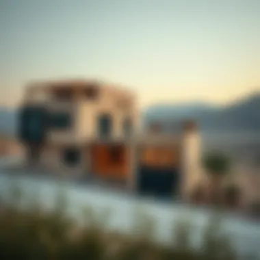 Notable Exploring the Price Dynamics in Wadi Hab