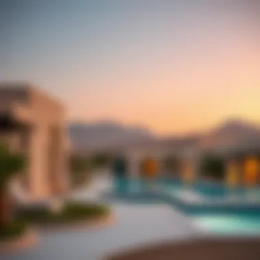 Exploring the Price Dynamics in Wadi Hab Summary