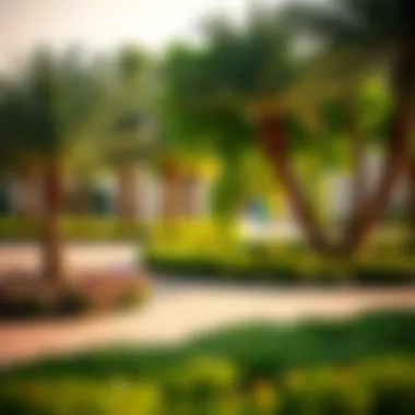 Community Park in Umm Al Sheif Vibrant community park in Umm Al Sheif with lush greenery