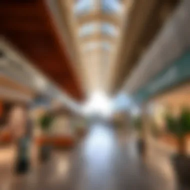 Modern Shopping Area in Umm Al Sheif Modern shopping area in Umm Al Sheif with diverse offerings