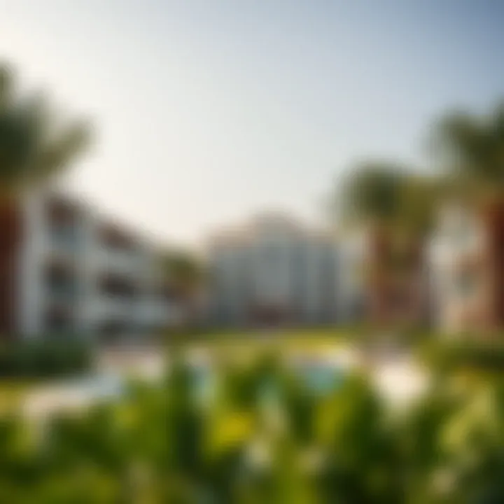 Amenities in a Dubai villa community