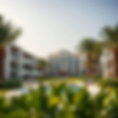 Exclusive Amenities in Dubai Villa Communities Amenities in a Dubai villa community