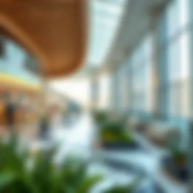 Investment opportunities highlighted within Galleria Al Barsha
