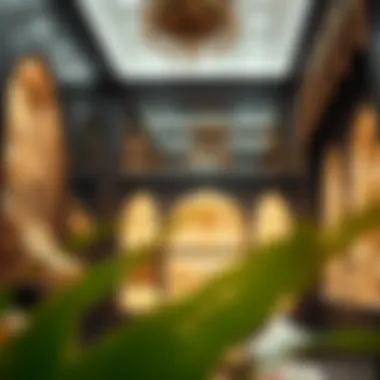 An elegant traditional Baniya shop adorned with gems