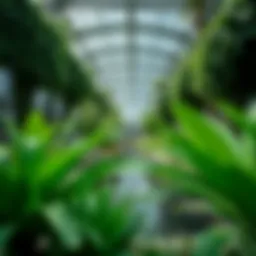 Lush greenery inside the Green Planet City Walk