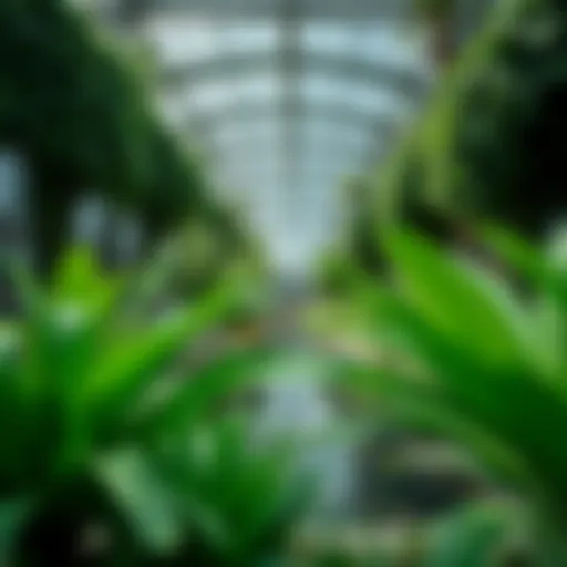 Lush greenery inside the Green Planet City Walk