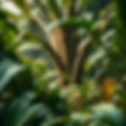 Lush tropical rainforest at Green Planet Dubai