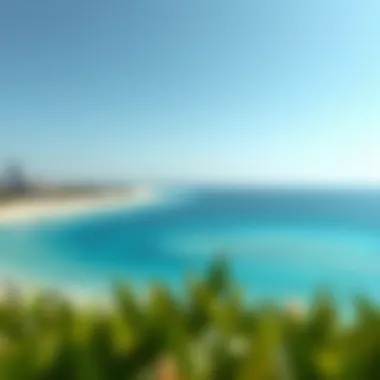 La Mer Beach: Current Status and Implications for Investors Summary