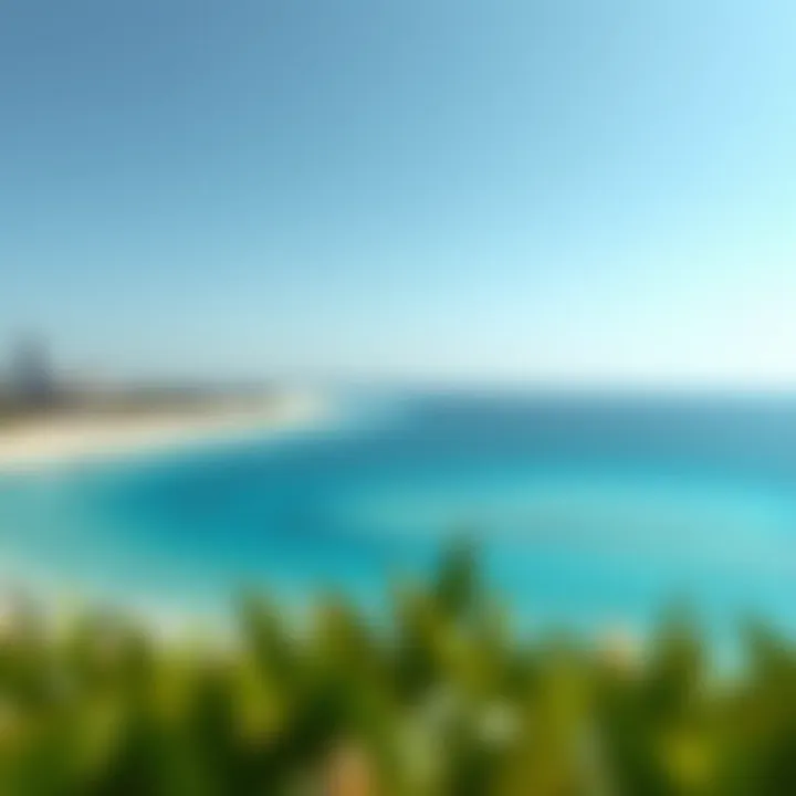 La Mer Beach: Current Status and Implications for Investors Summary