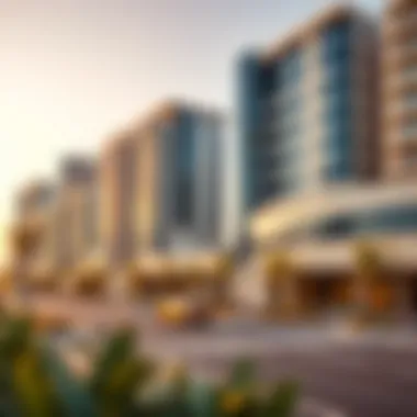 Business Landscape of Nad Al Shiba Commercial properties in Nad Al Shiba illustrating business opportunities