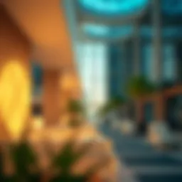 DHA License Application Overview