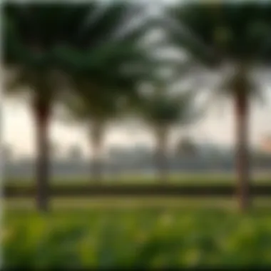 Lush Green Parks in Nesto Jumeirah Village Circle Lush green parks in Nesto Jumeirah Village Circle offering recreational spaces for families