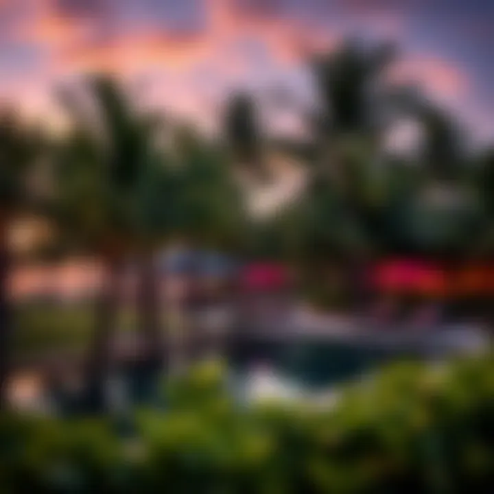 Lush Tropical Landscape of Nurai Island A tropical landscape featuring palm trees and private pools on Nurai Island