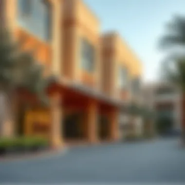 Notable Private Schools in Mohammed Bin Zayed City: An In-Depth Exploration Notable Private Schools in Mohammed Bin Zayed City: An In-Depth Exploration