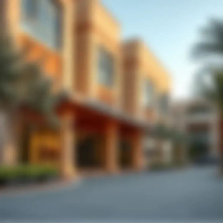 Notable Private Schools in Mohammed Bin Zayed City: An In-Depth Exploration Notable Private Schools in Mohammed Bin Zayed City: An In-Depth Exploration