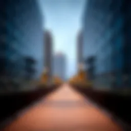 Rayna Properties: Navigating the Dubai Real Estate Landscape Introduction