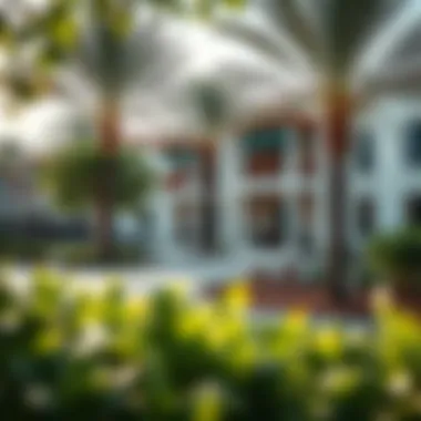 Community Amenities and Natural Spaces in Spinneys Mangrove Village Community amenities such as parks and recreational areas in Spinneys Mangrove Village.